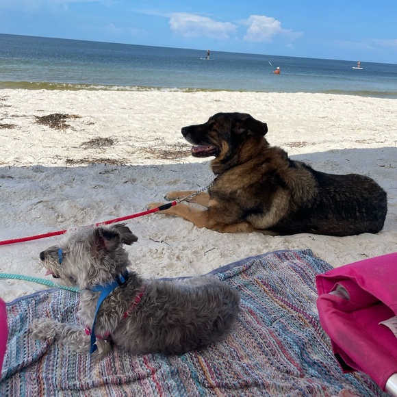 Meet Your Posher - Picture 5 of 7